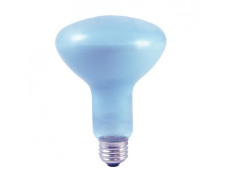 Bulbrite 711065 - 65R30FL/N - 65 Watt - 120 Volt - Incandescent - R30 - Medium (E26) - Clear - 2,700 Kelvin