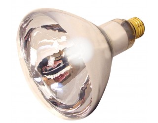 (2 Pack) Satco S4755 - 250R40/1/CL/2PK HEAT LAMP - Incandescent - 120 Volt - 250 Watt - R40 - Medium (E26) - Dimmable Reflector - Clear Heat