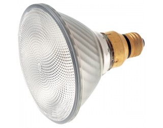 Satco S4948 - 250PAR38/CAP/SP - 250 Watt - 120 Volt - Halogen - PAR38 - Medium Screw Skirted (E26sk) - Clear - 2,900 Kelvin